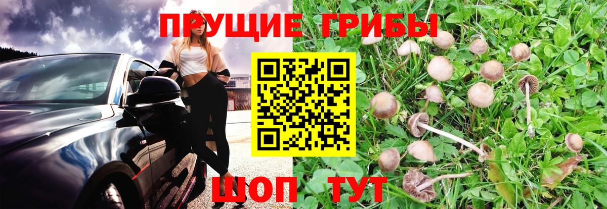 Галлюциногенные грибы ЛСД Новочебоксарск