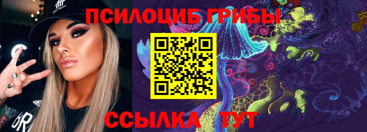 Псилоцибиновые грибы Psilocybe  Вход с VPN  Новочебоксарск 
